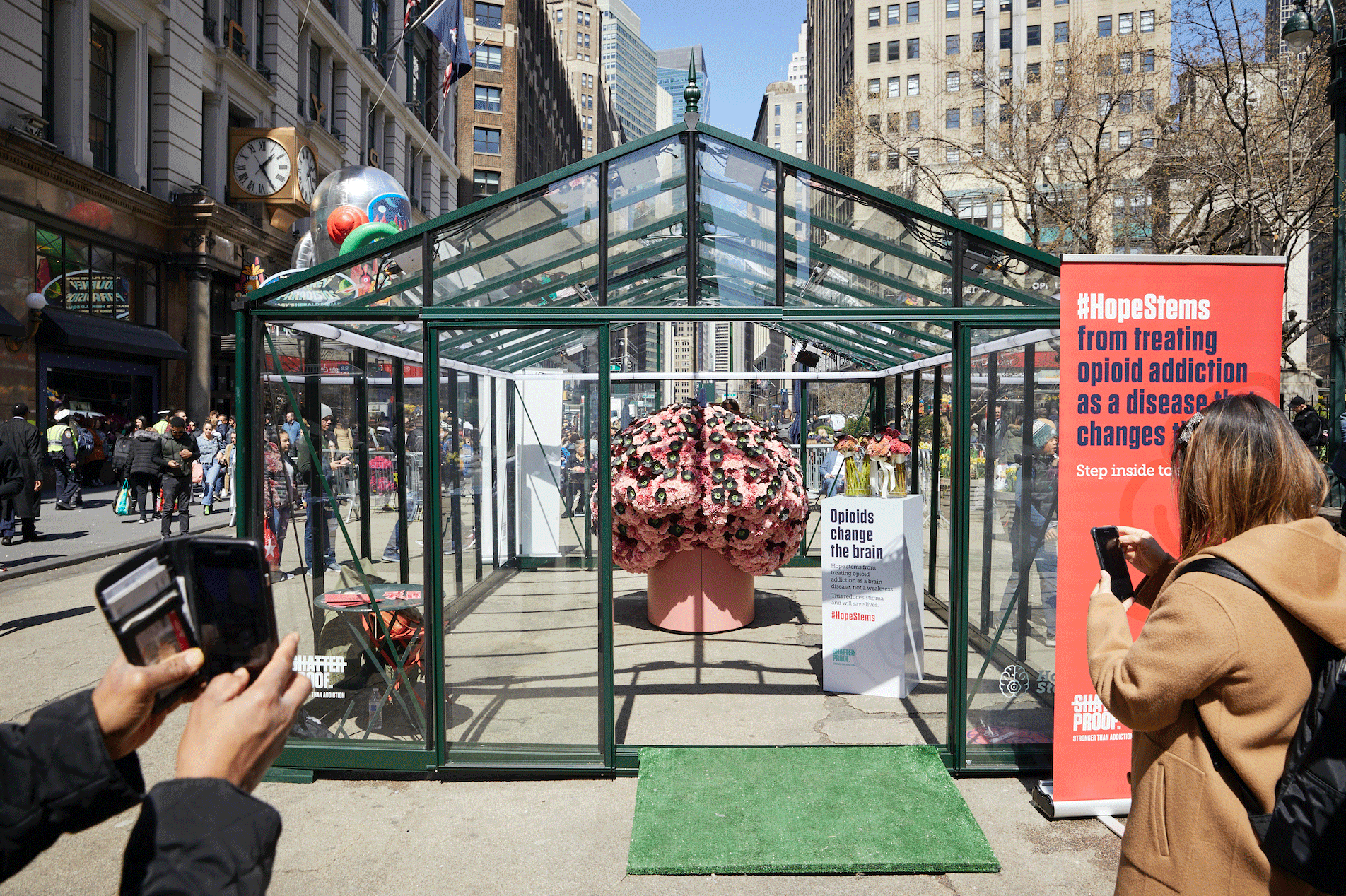Photo of outdoor greenhouse installation for #HopeStems