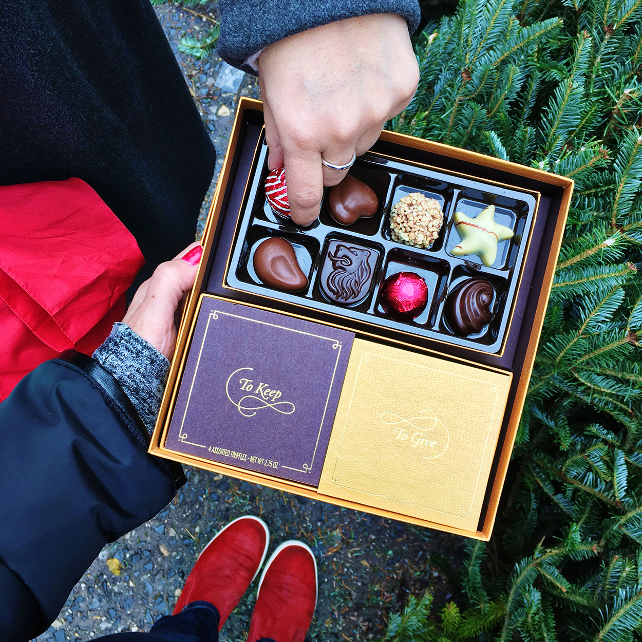 An open box of Godiva chocolates being held by one person with another person's hand selecting one of the chocolates.