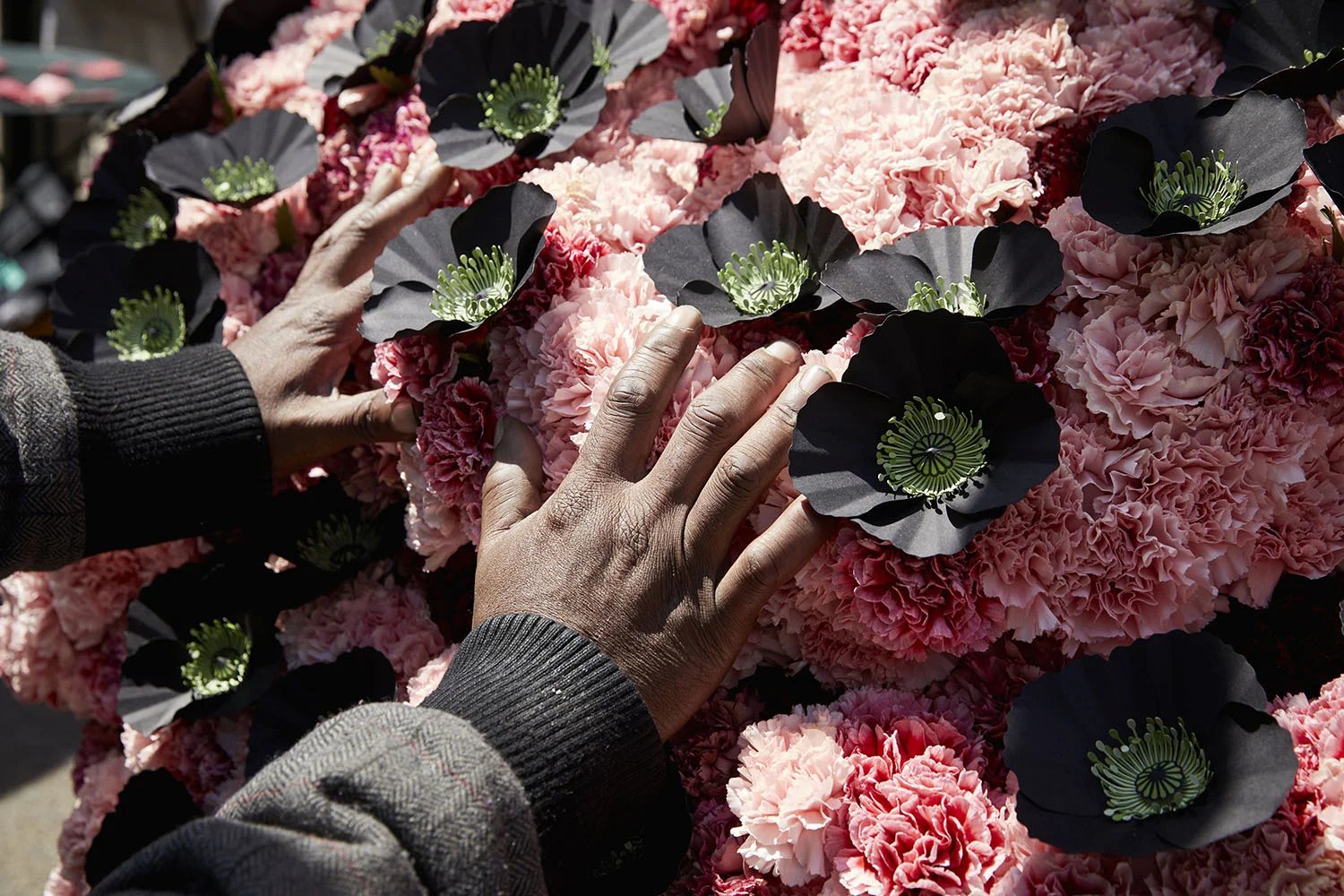 Photo of outdoor greenhouse installation for #HopeStems